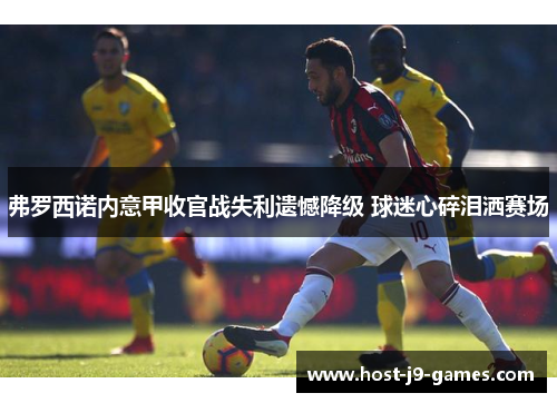 弗罗西诺内意甲收官战失利遗憾降级 球迷心碎泪洒赛场